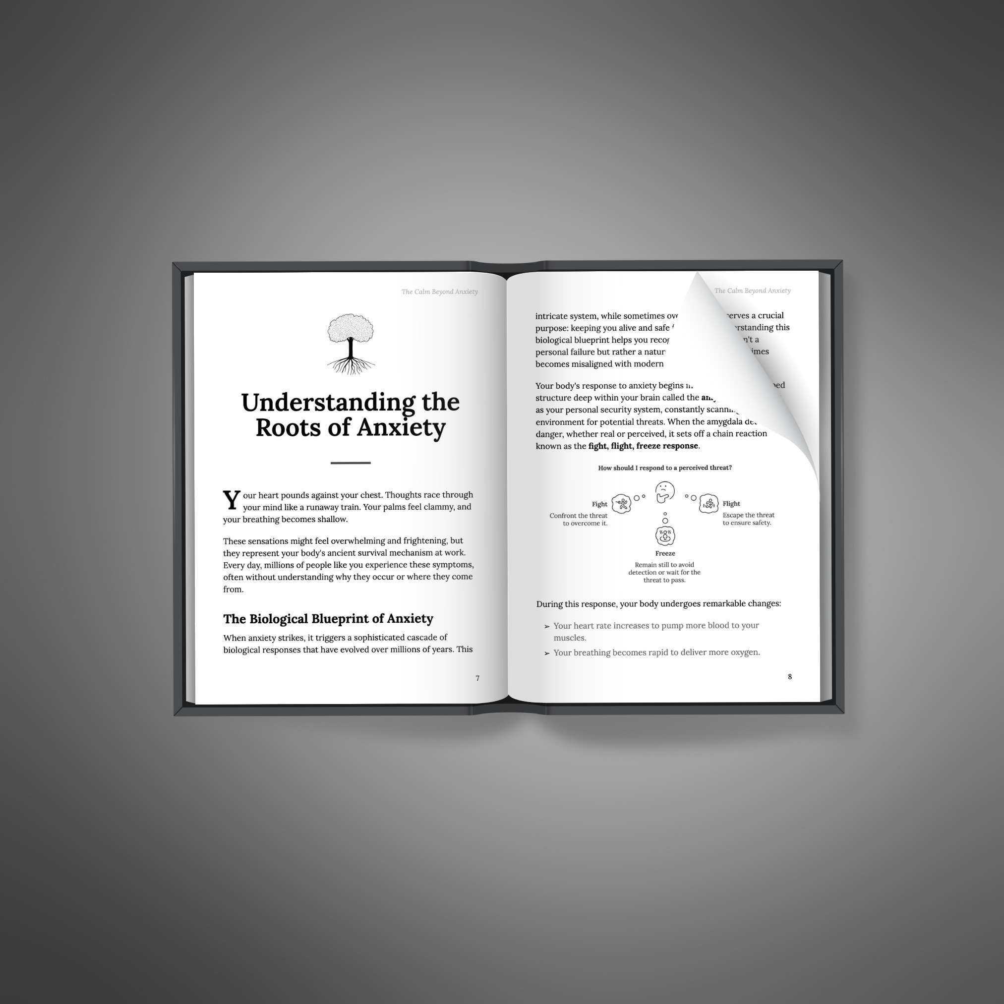 Calm & In Control – The Everyday Guide to Managing Anxiety - Image 4